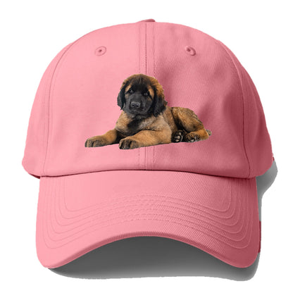 Leonberger Hat