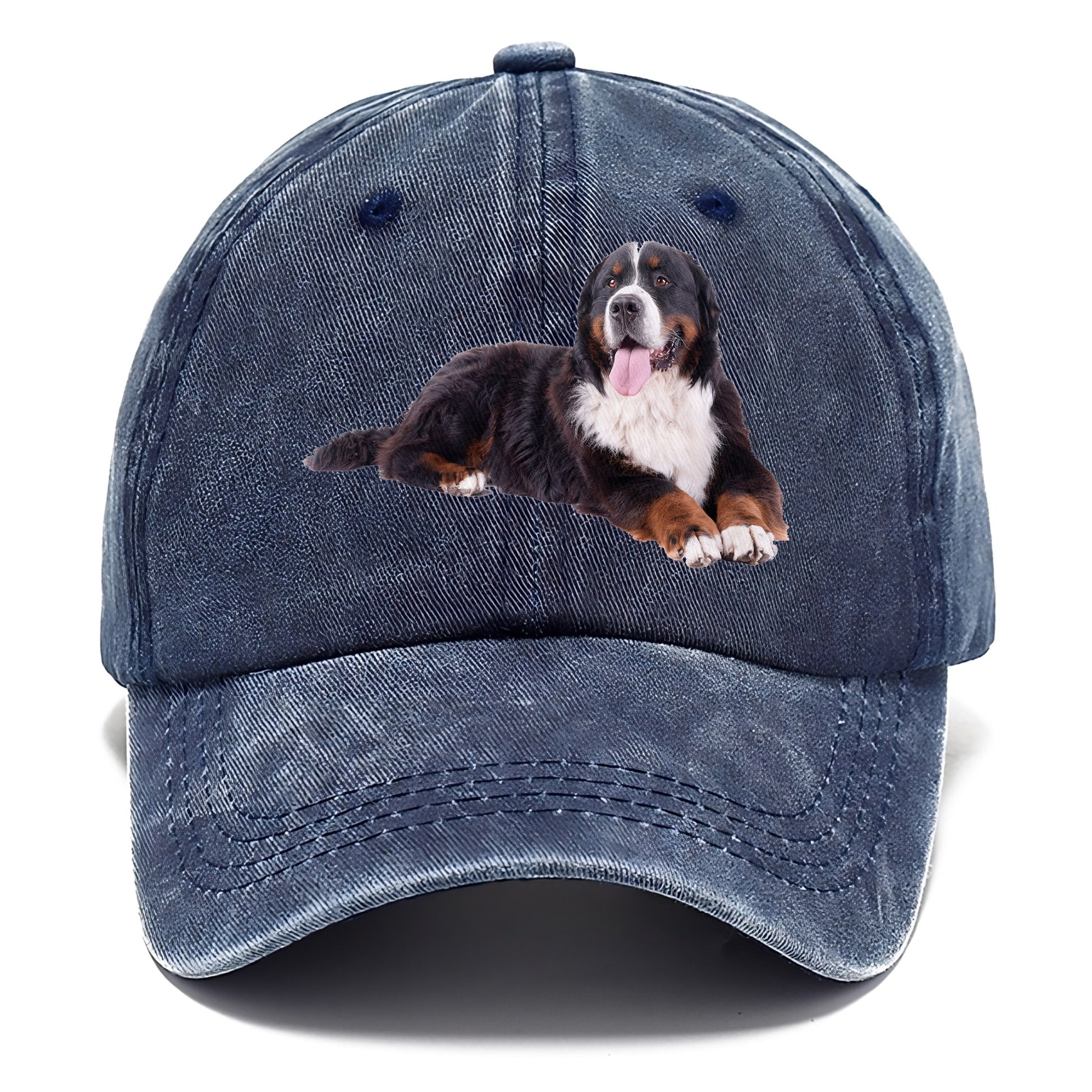 bernese mountain dog Hat