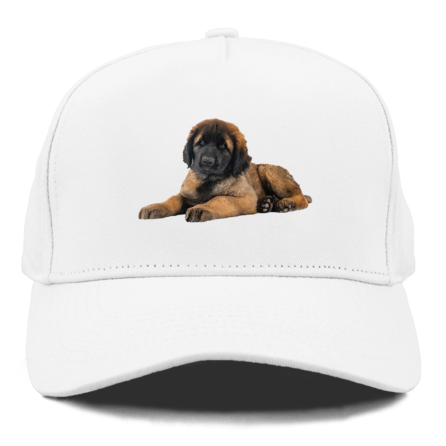 Leonberger Hat