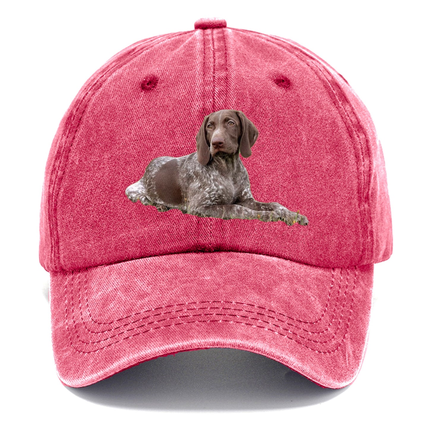 German Shorthaired Pointer 2 Hat