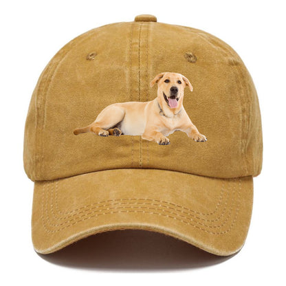 Labrador laying down Hat