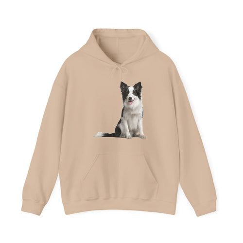 Border Collie Hooded Sweatshirt