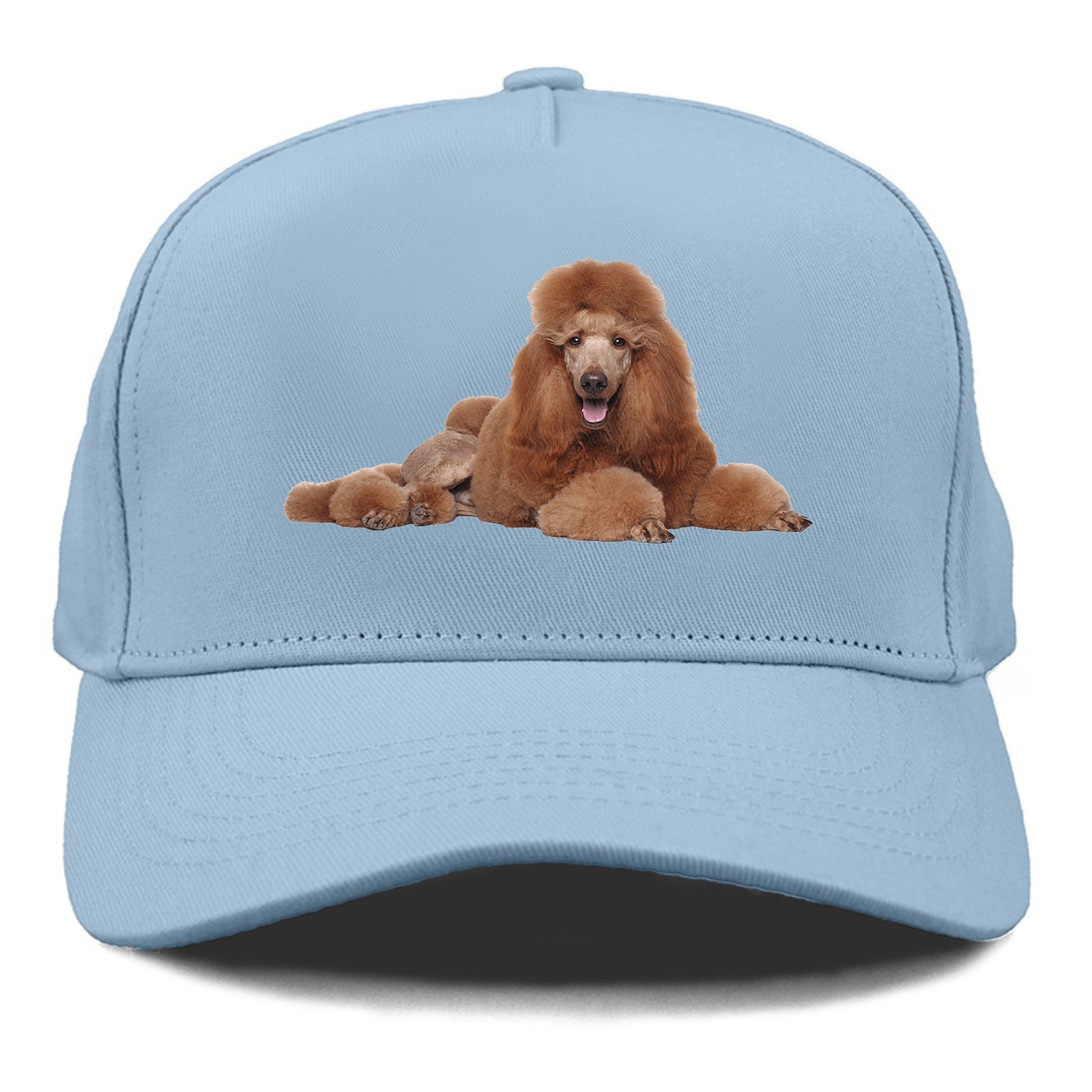 standard poodle Hat