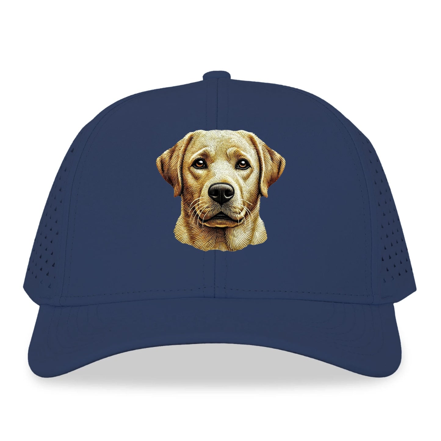 Labrador Retriever_ Hat