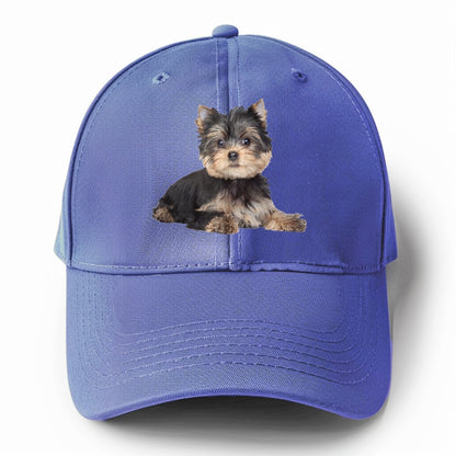 Yorkshire terrier Hat