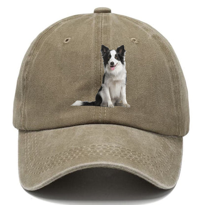 Border Collie Hat