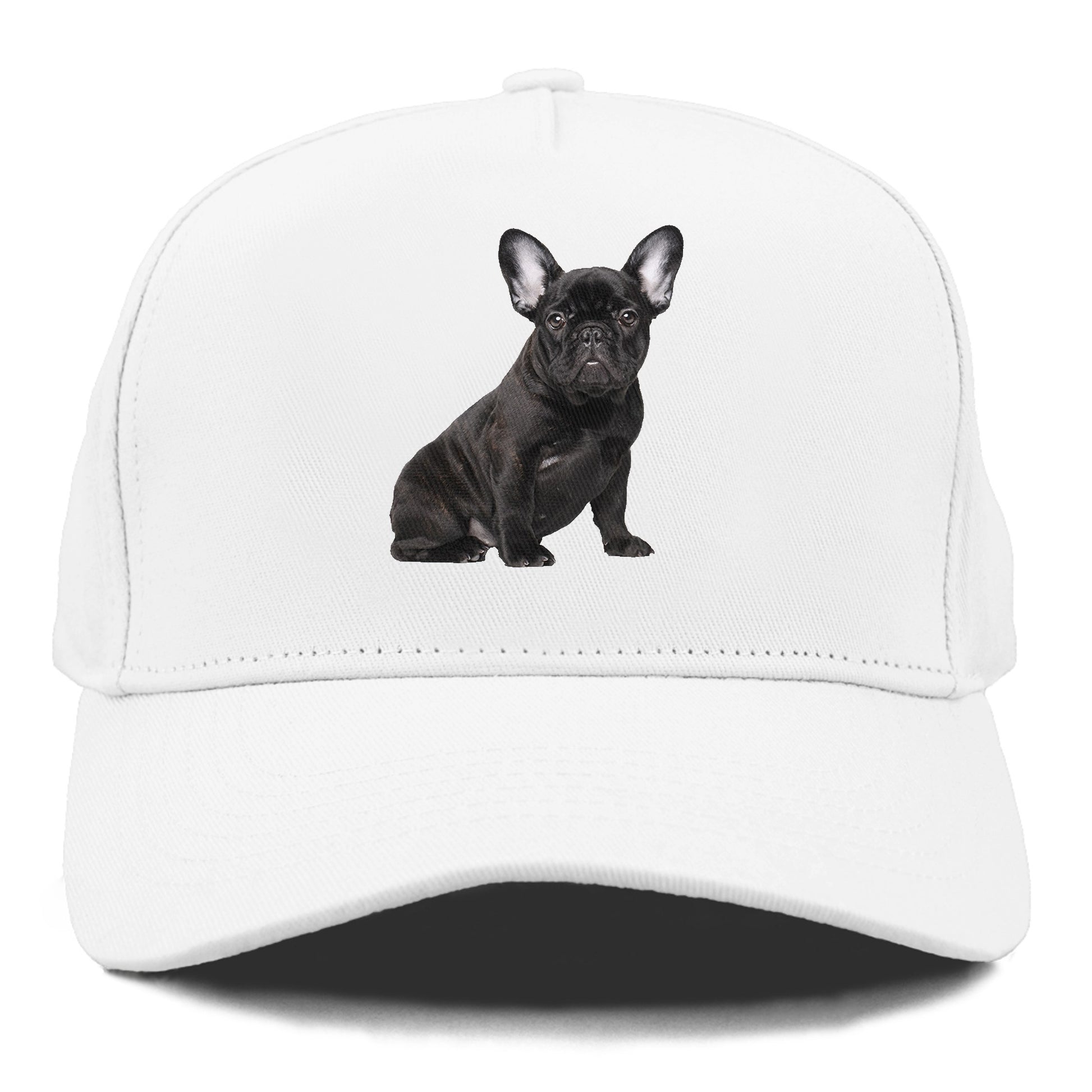 french bulldog Hat