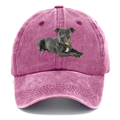 Staffordshire Bull Terrier Hat