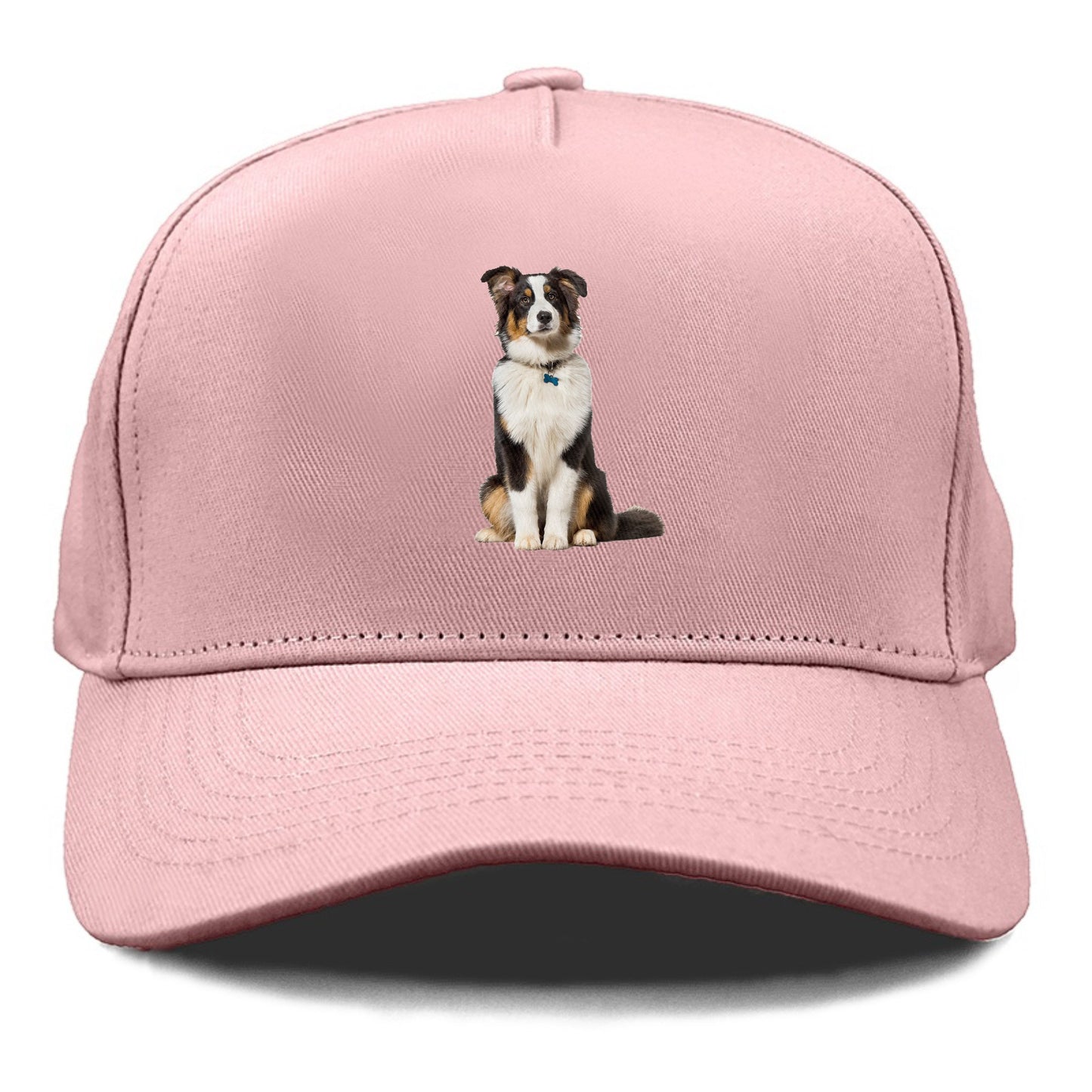 Attentive Australian Shepherd sitting upright Hat