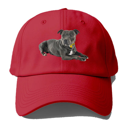 Staffordshire Bull Terrier Hat