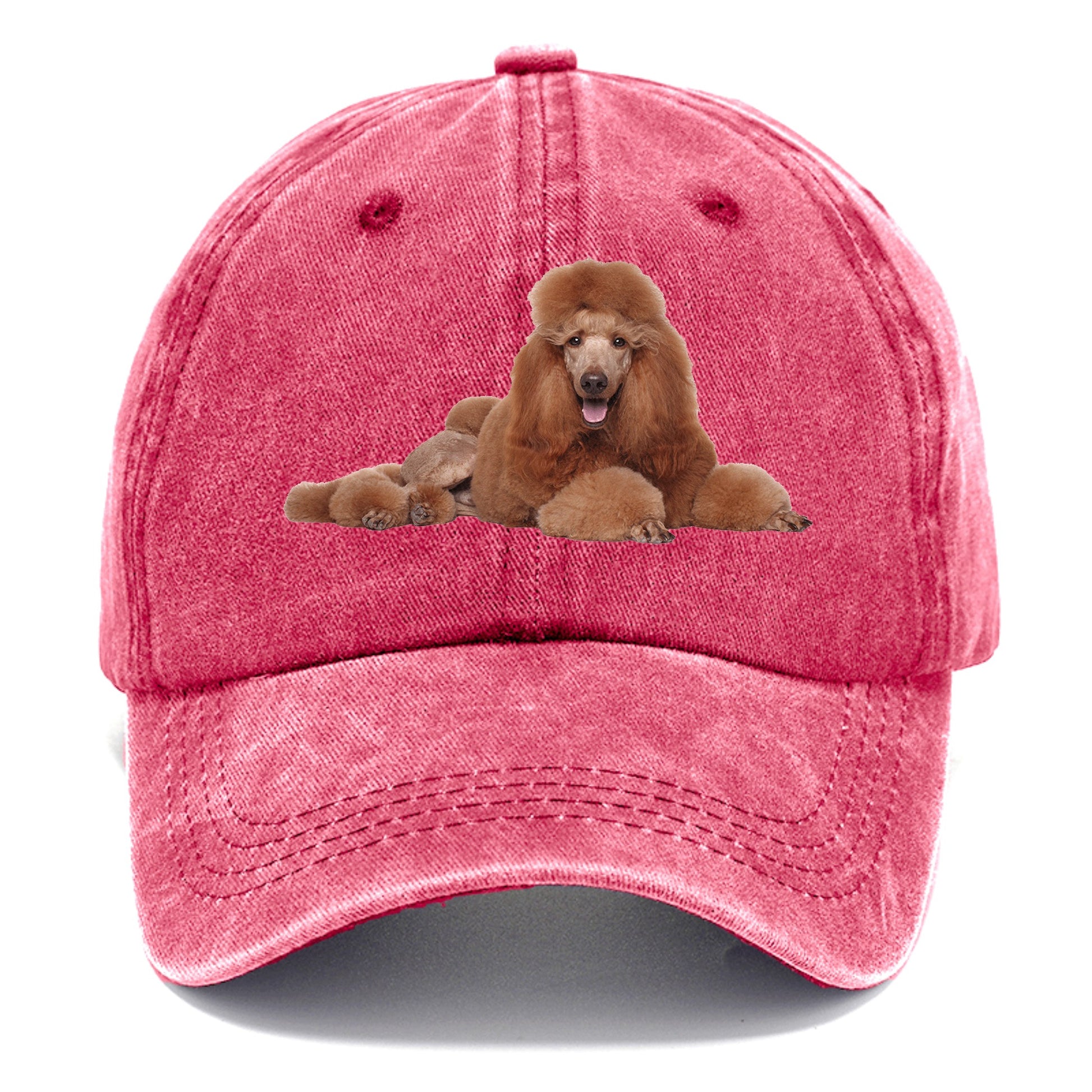 standard poodle Hat