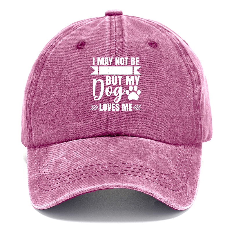 I may not be perfect but my dog loves me Hat