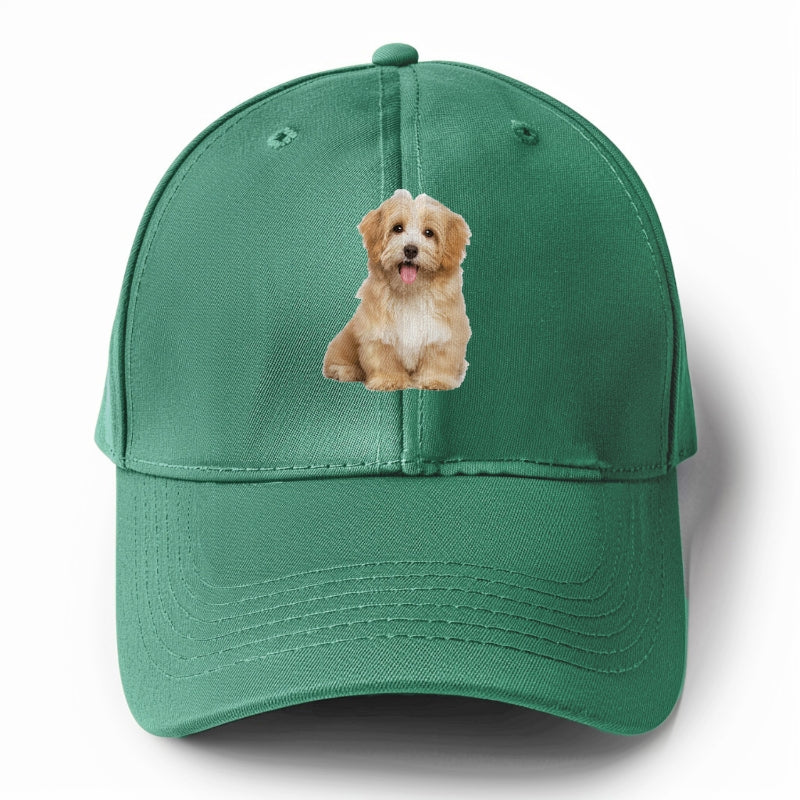 Adorable Shih Tzu Hat