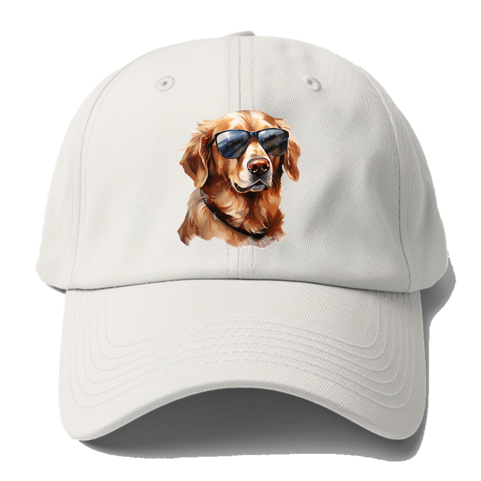 golden retriever in sun glasses Hat