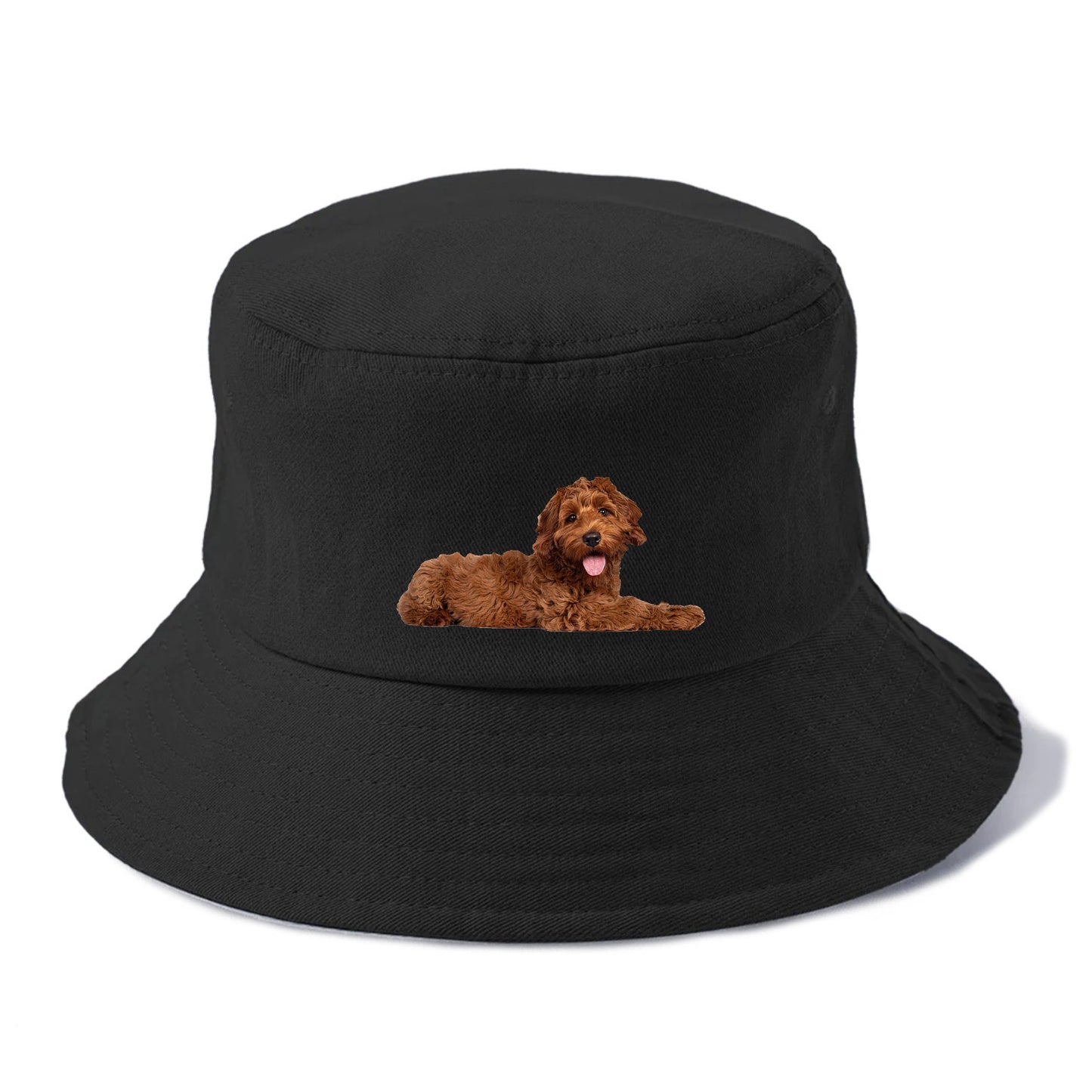 Labradoodle laying down Hat