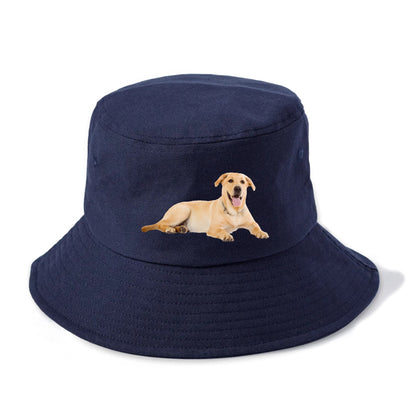 Labrador laying down Hat