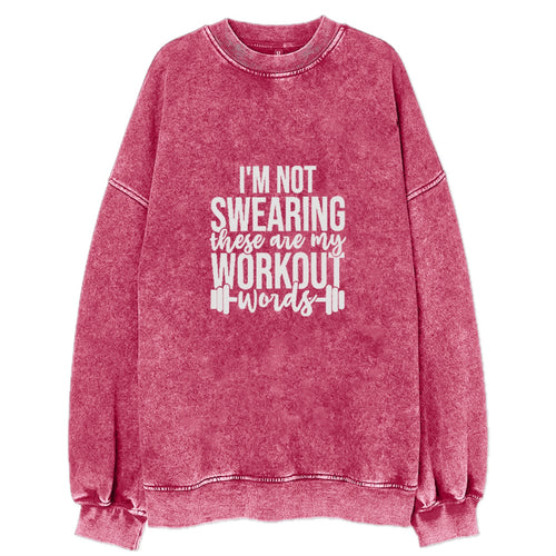 I'm Not Swearing These Are My Workout Words Vintage Sweatshirt