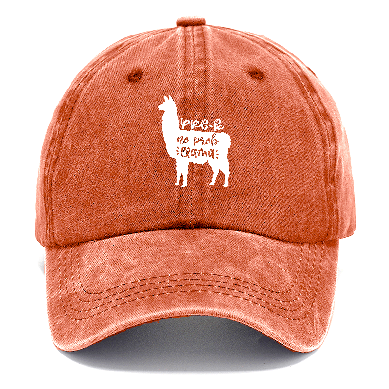 Prek no prob llama Hat