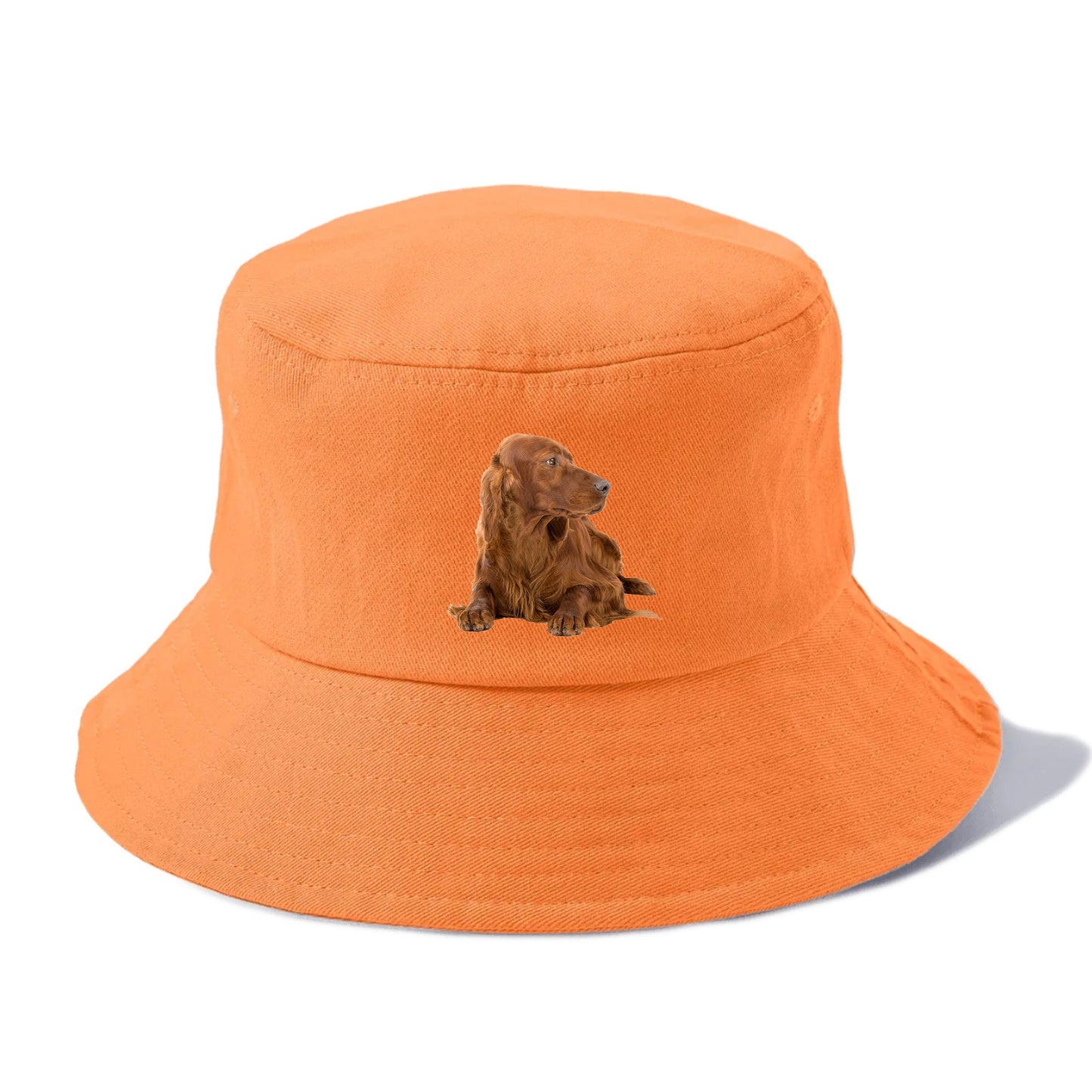 Irish Setter Hat