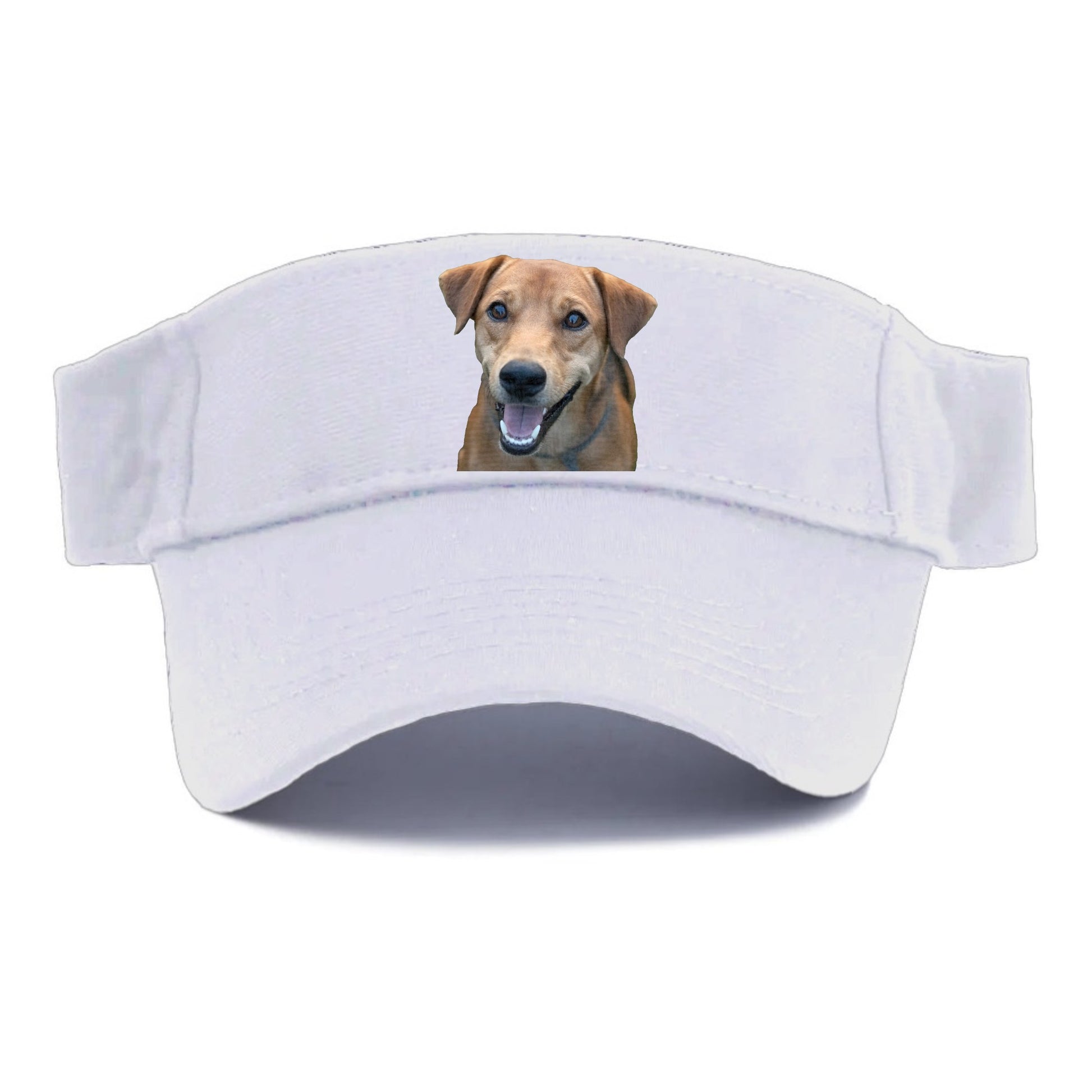 Labrador Hat