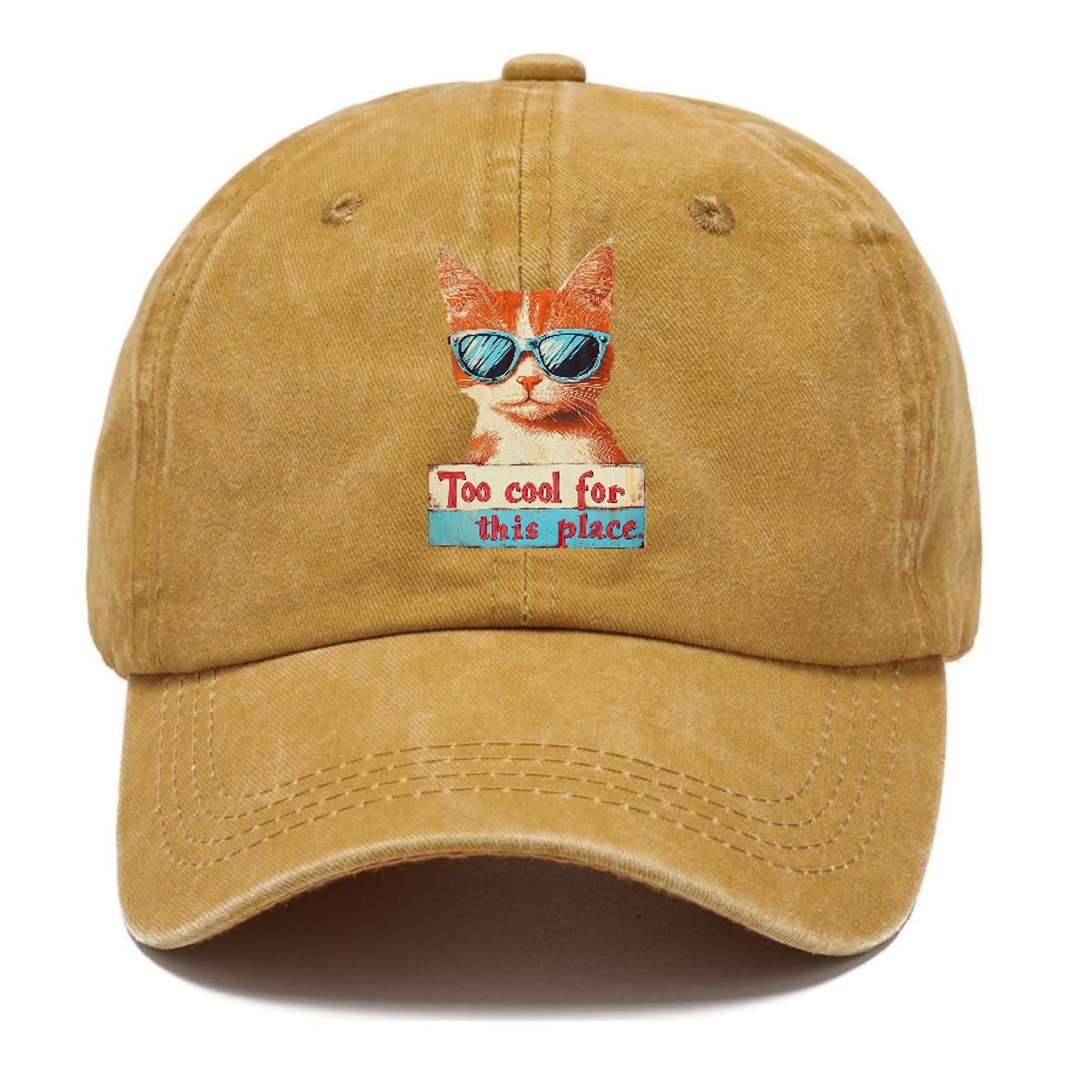 Cool Cat with Sunglasses Hat