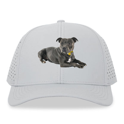 Staffordshire Bull Terrier Hat