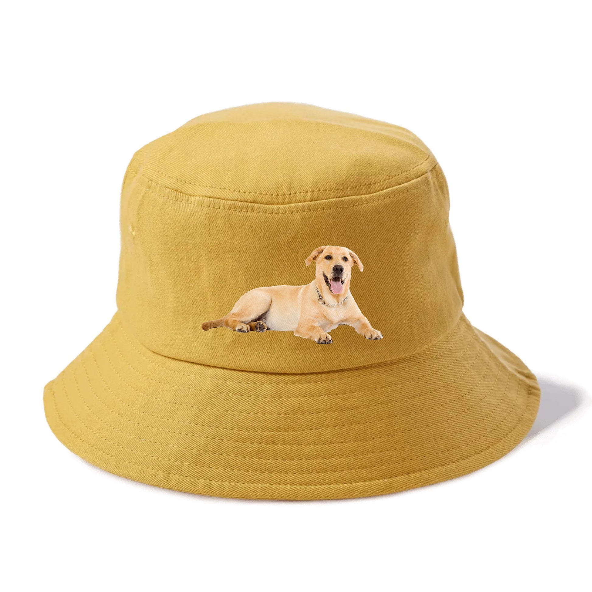 Labrador laying down Hat