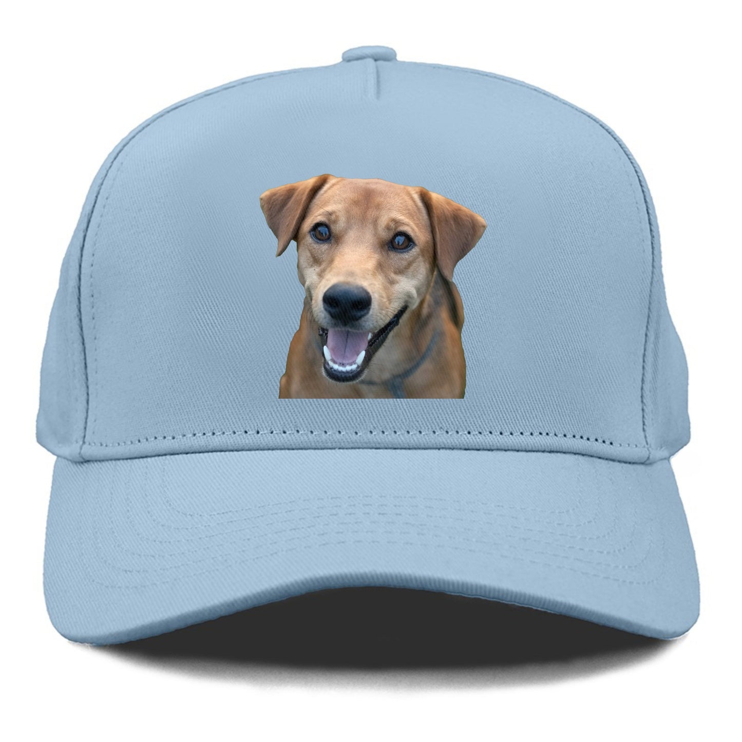 Labrador Hat