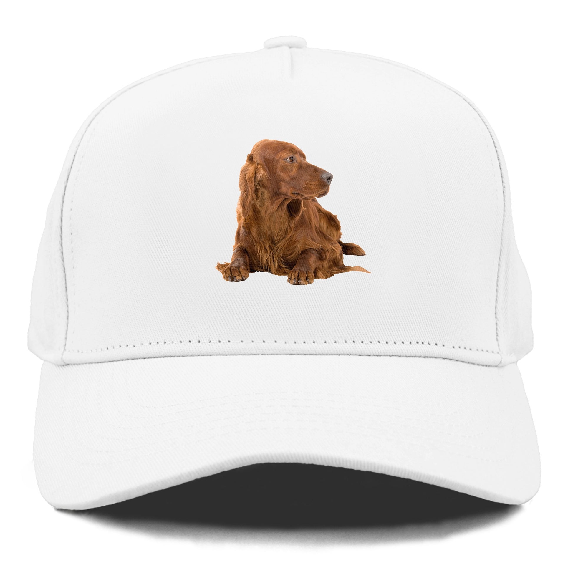 Irish Setter Hat