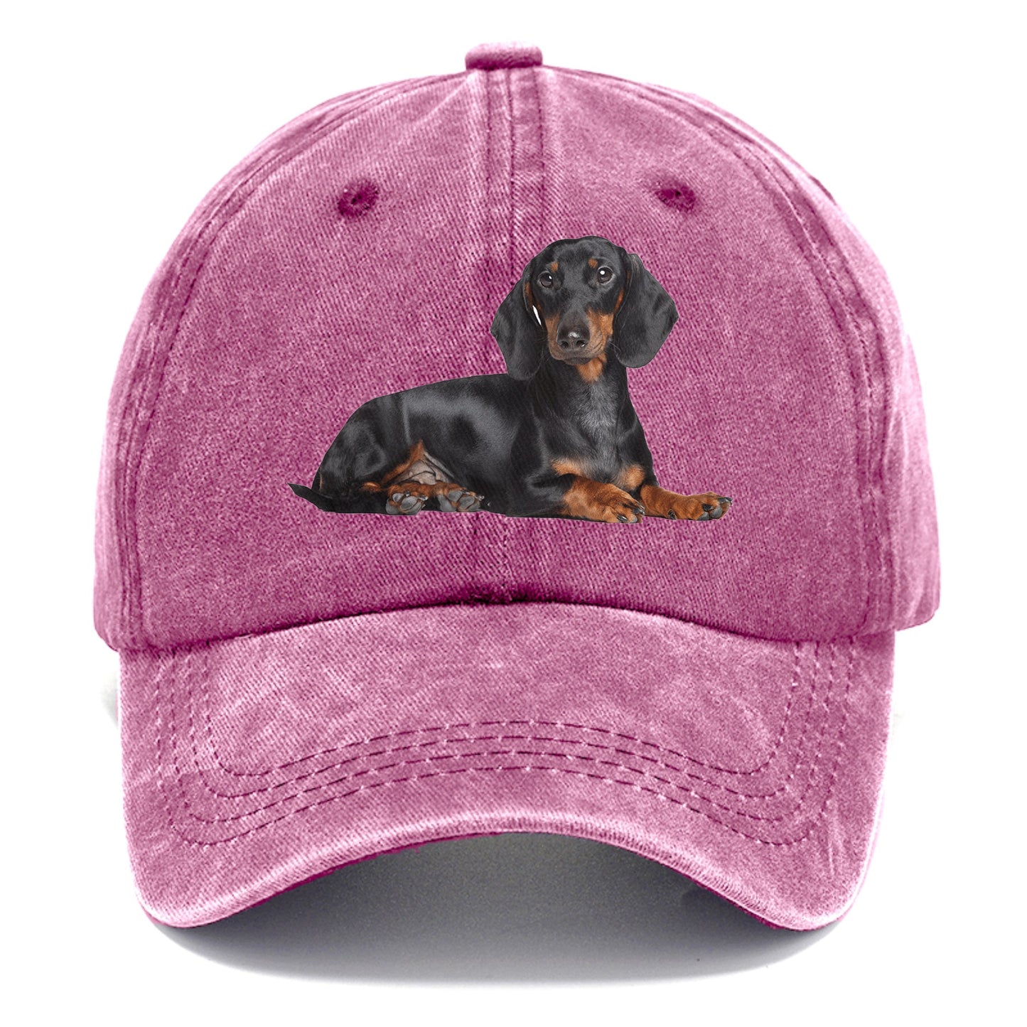 dachshund Hat