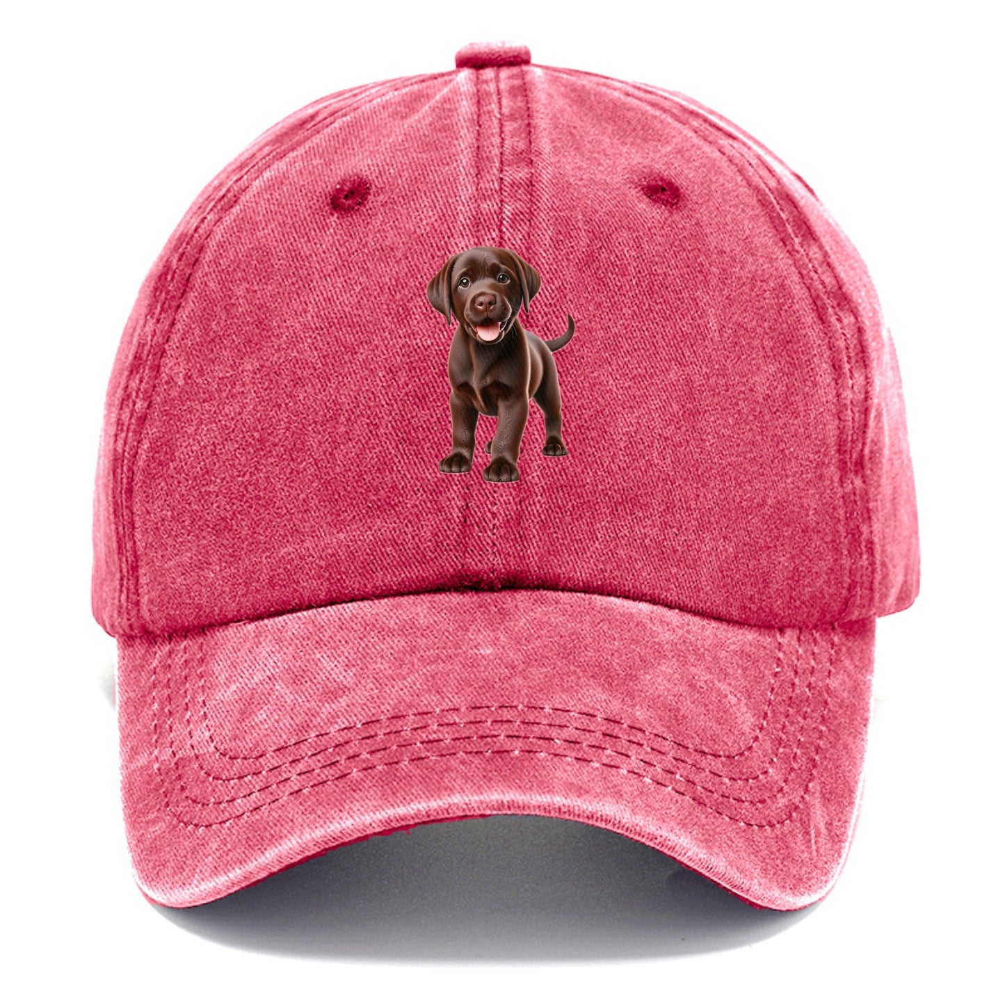 chocolate labrador Hat