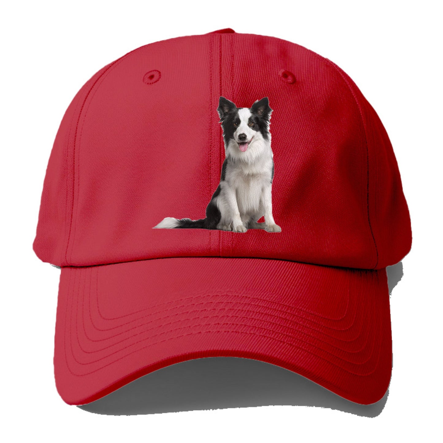 Border Collie Hat