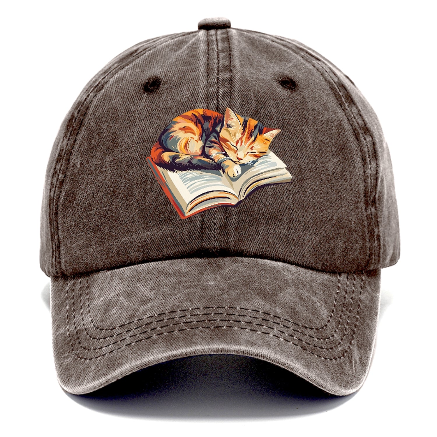 Cat Nap on Book Hat