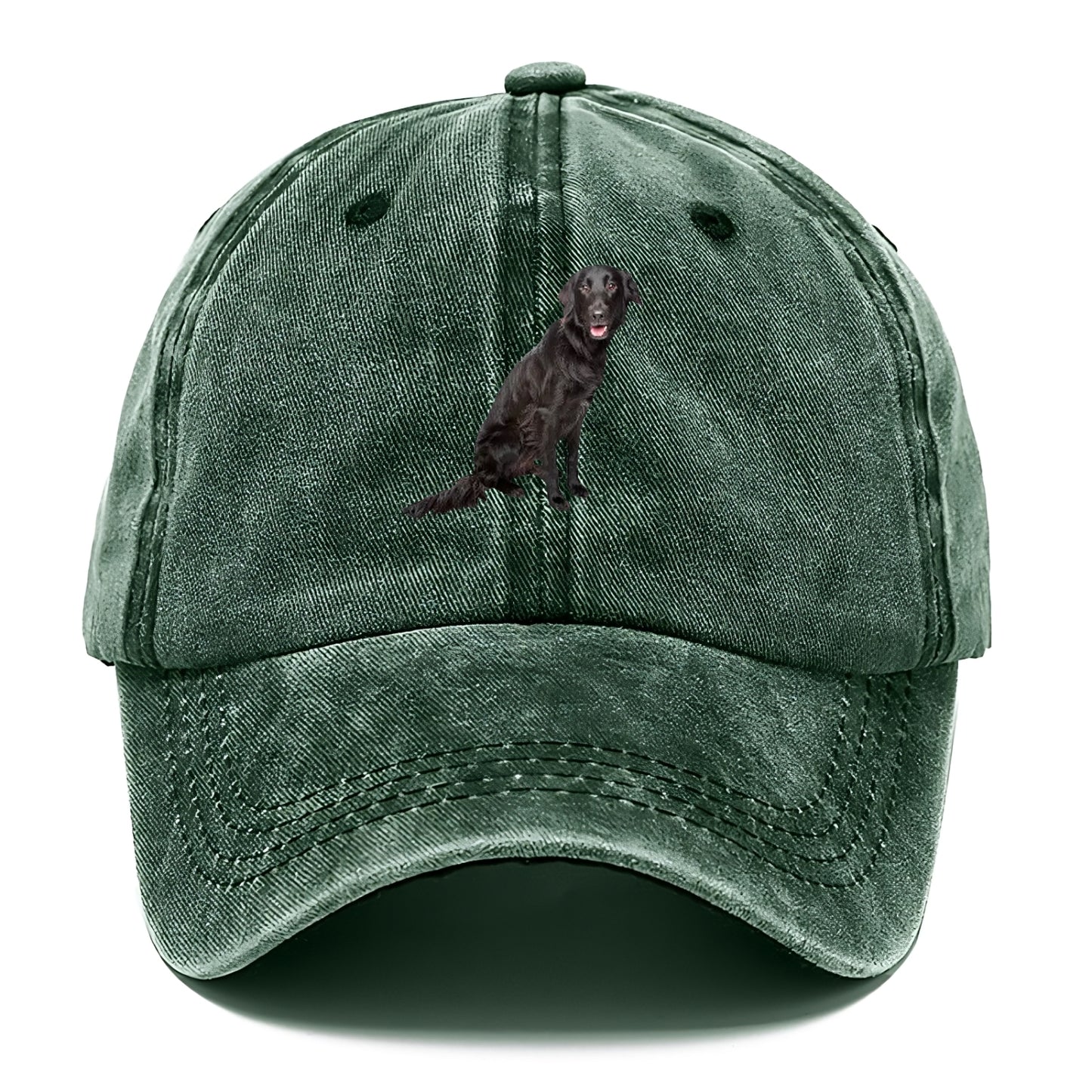 FlatCoated Retriever Hat