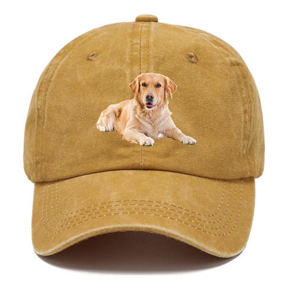Golden Retriever laying dow Hat
