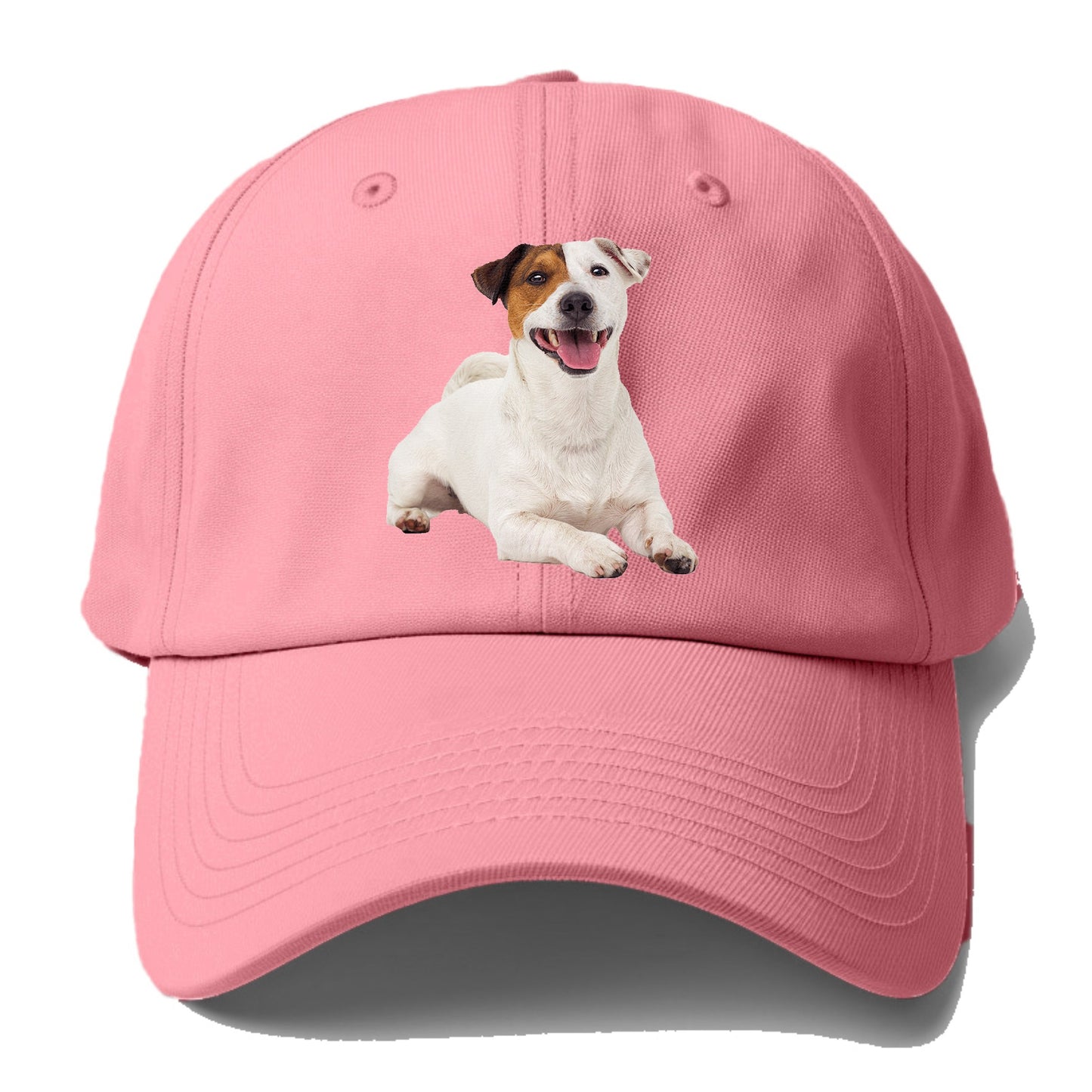 jack russell terrier dog Hat