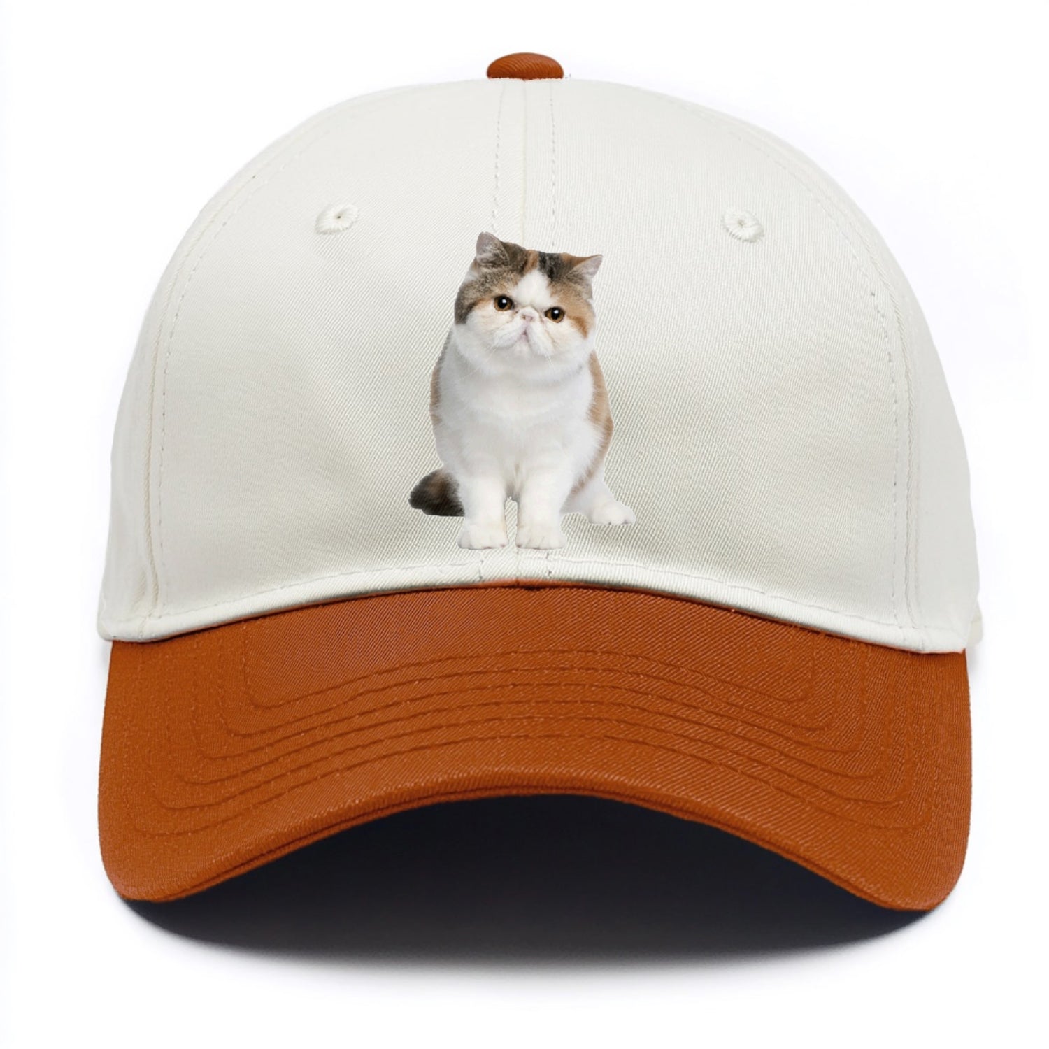 exotic shorthair Hat