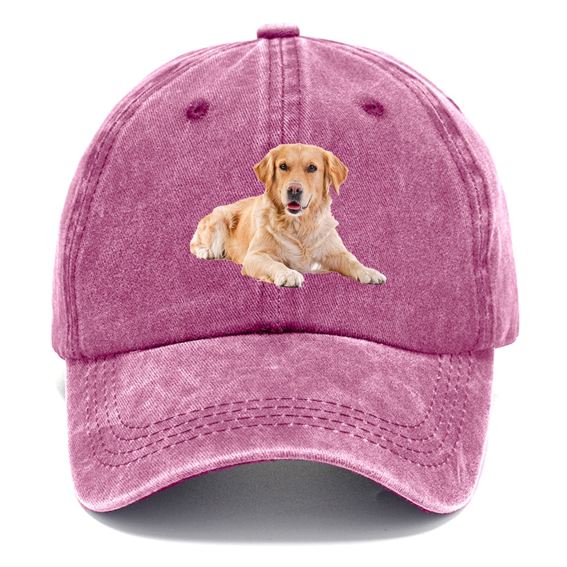 Golden Retriever laying dow Hat