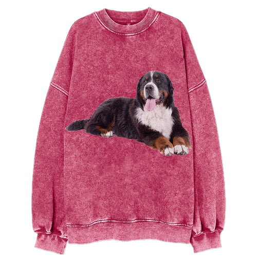 Bernese Mountain Dog Vintage Sweatshirt