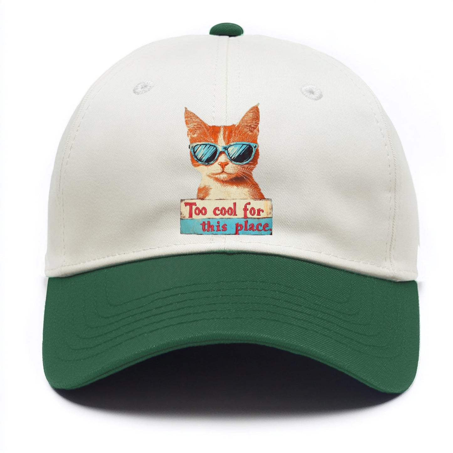 Cool Cat with Sunglasses Hat