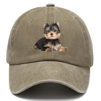 Yorkshire terrier Hat