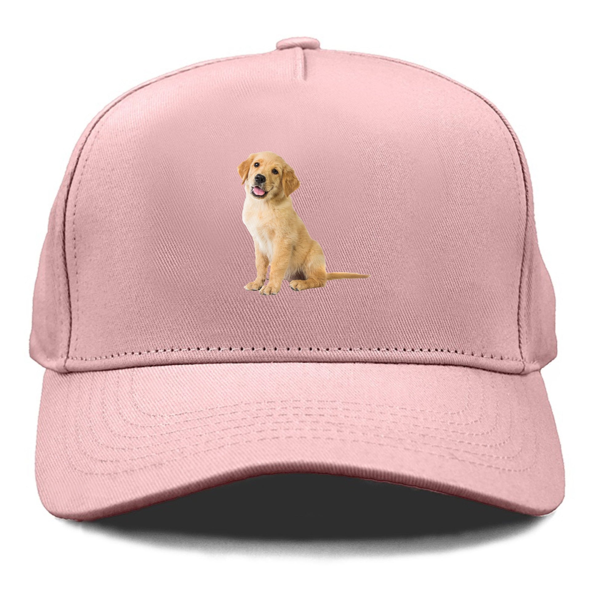 Playful golden pup with a cheerful expression Hat