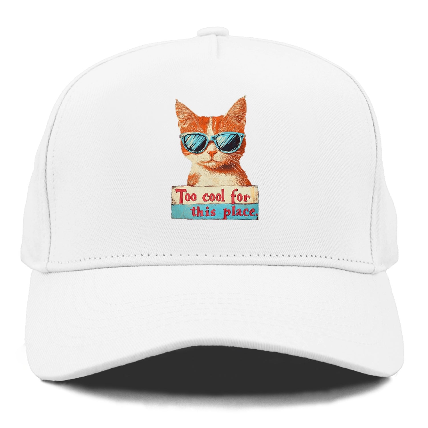 Cool Cat with Sunglasses Hat