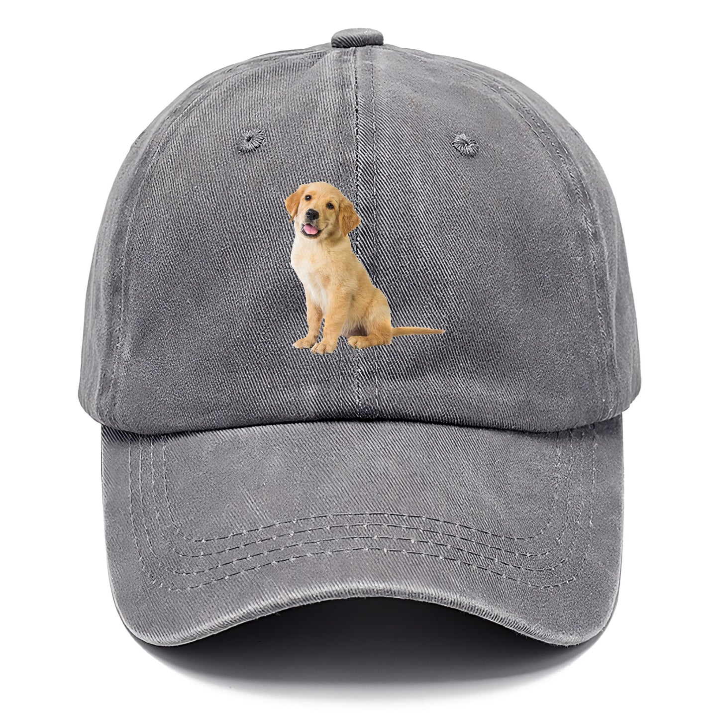 Playful golden pup with a cheerful expression Hat