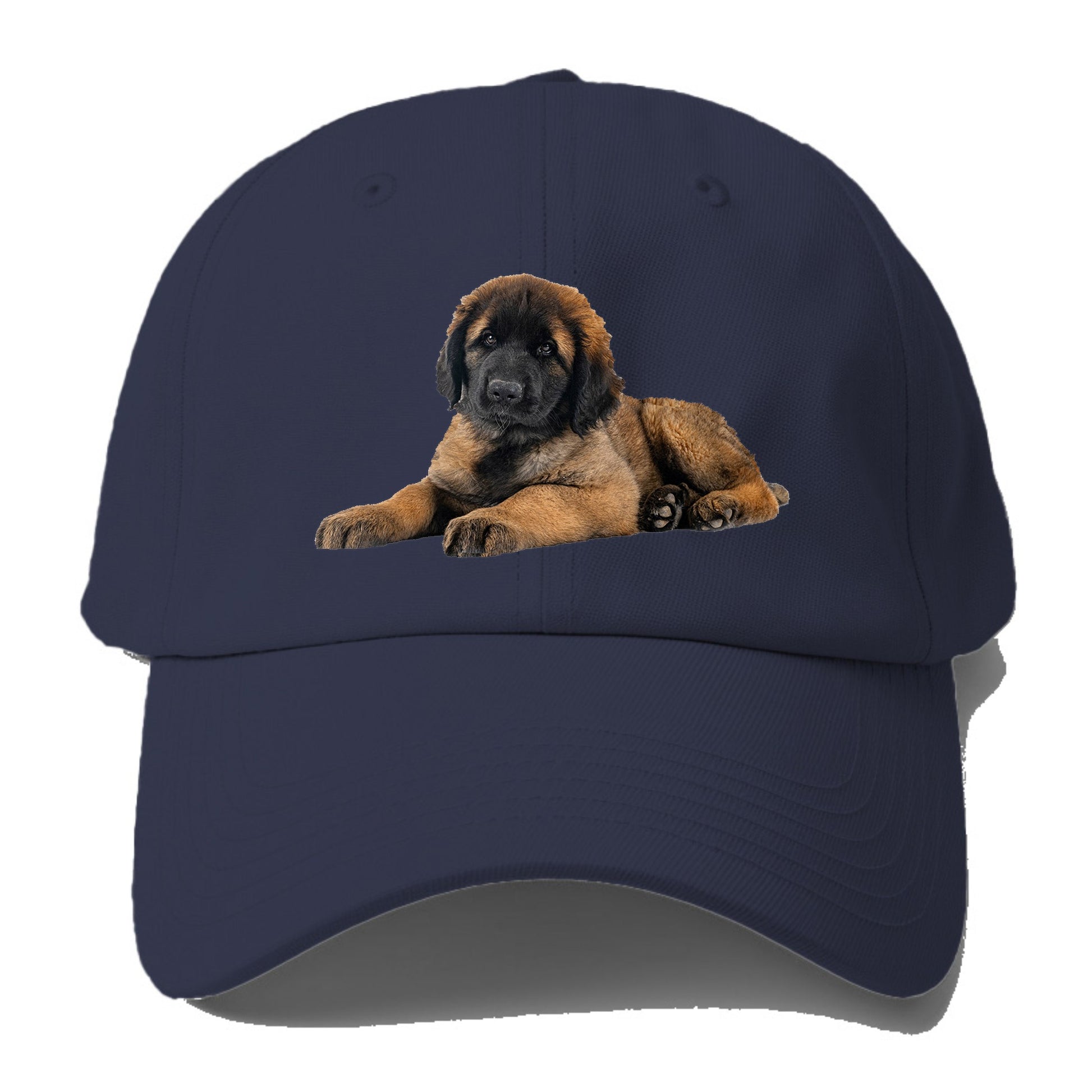 Leonberger Hat