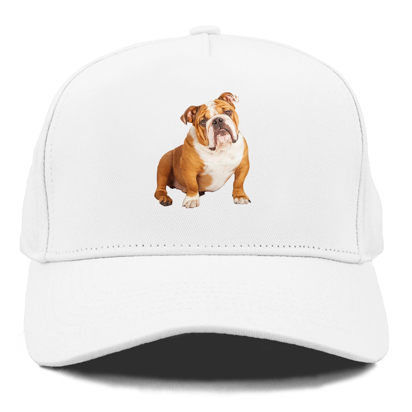 bulldog Hat