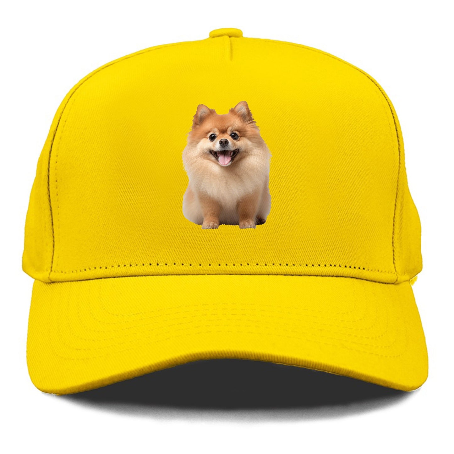 Delighted Pomeranian  Hat