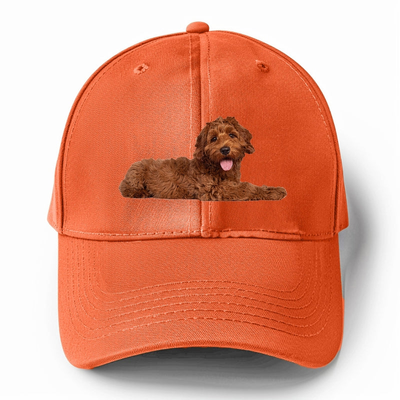 Labradoodle laying down Hat