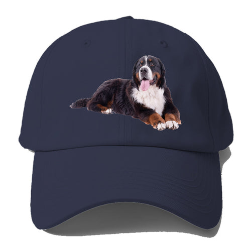 Bernese Mountain Dog Baseball Cap For Big Heads