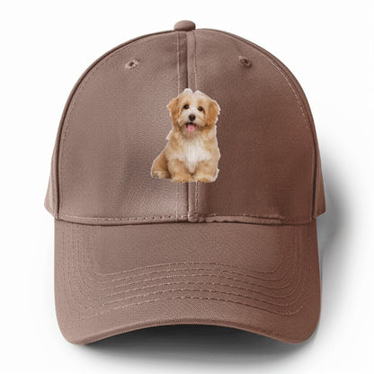 Adorable Shih Tzu Hat